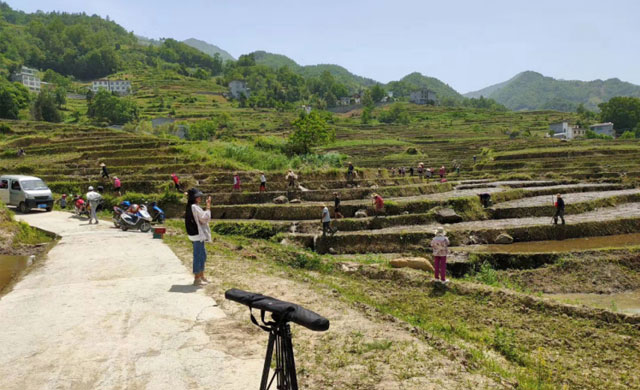 岚皋县鑫鹏农产品开发有限公司