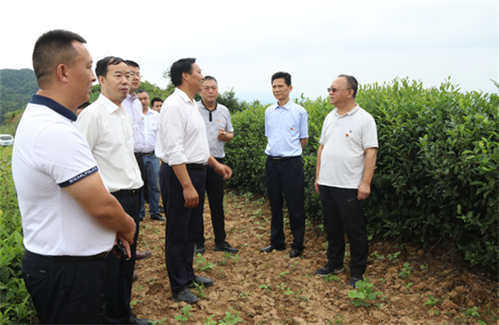 庆七一·抓党建·促脱贫·履担当 ——市属国企汉滨合力团赴晏坝镇开展扶贫帮扶活动