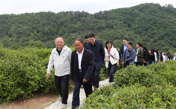 QQ截图20201023155838