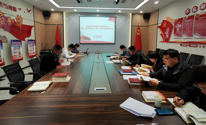 安文投公司党支部开展第三次党史教育专题学习