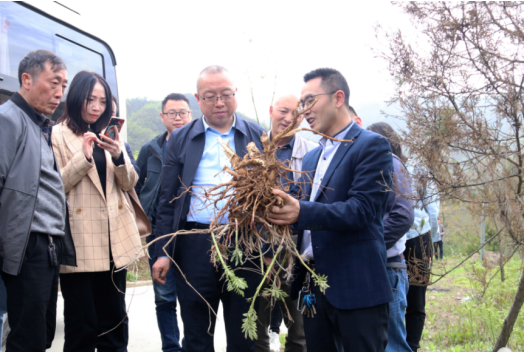 QQ截图20210422084750