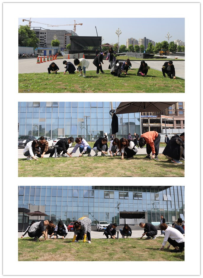 厕所偷拍
“五一”劳动节前组织开展义务劳动