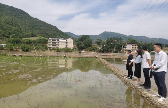 QQ截图20210517163754