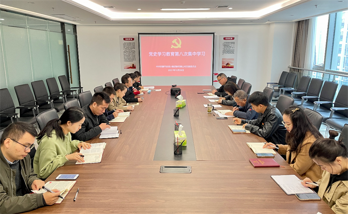 财信小贷公司党支部开展党史学习教育第八次集中学习