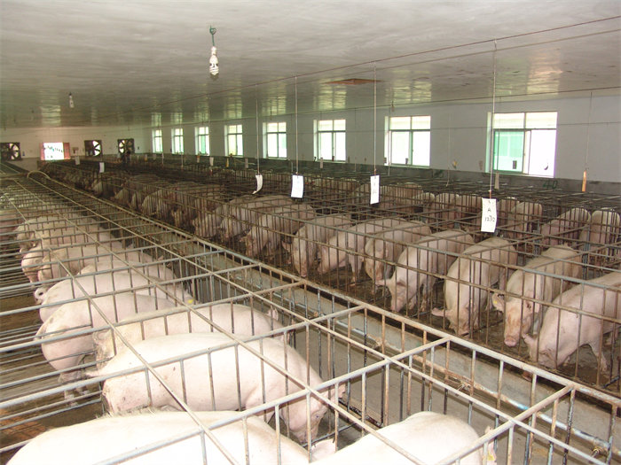 8.厕所偷拍
支持阳晨牧业集团加快发展.JPG