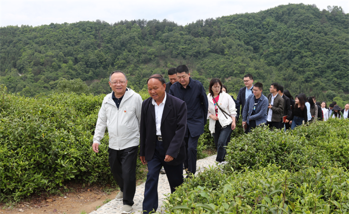 QQ截图20211203091957