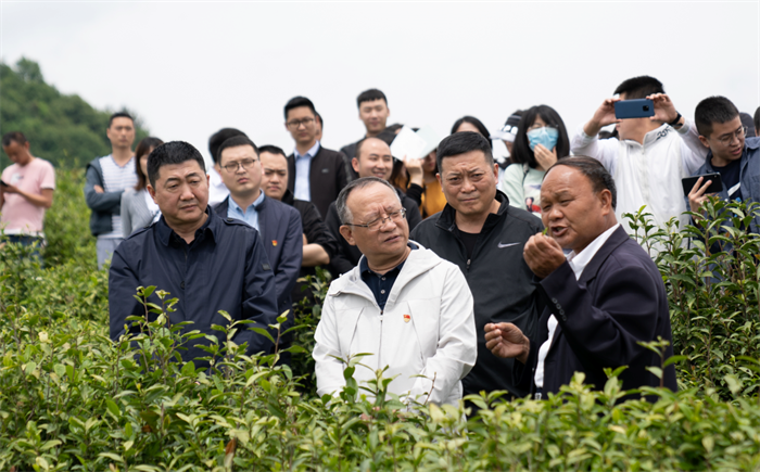 QQ截图20220303172533