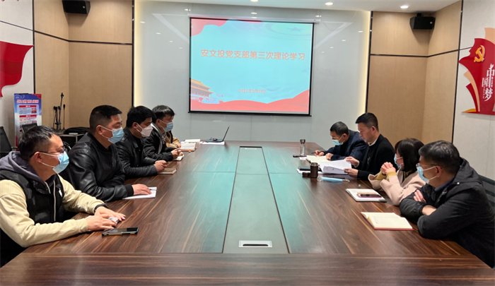 安文投公司党支部组织学习贯彻全国两会精神