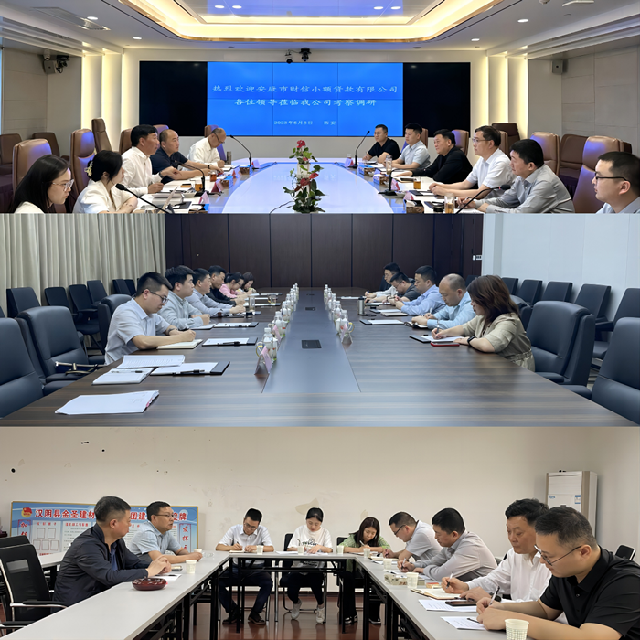 【要闻】摸准新情况 解决新问题 破解新难题——财信小贷公司赴部分民营股东企业调研