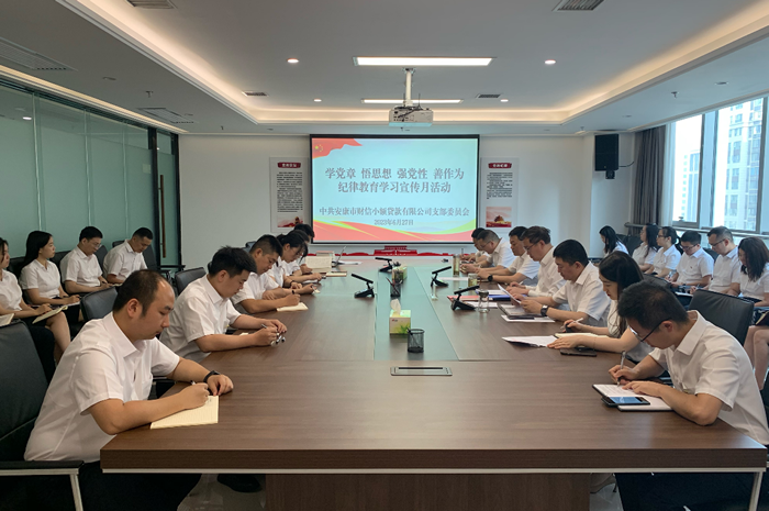 财信小贷、融资租赁公司以“六个一”扎实开展纪律教育学习宣传月活动
