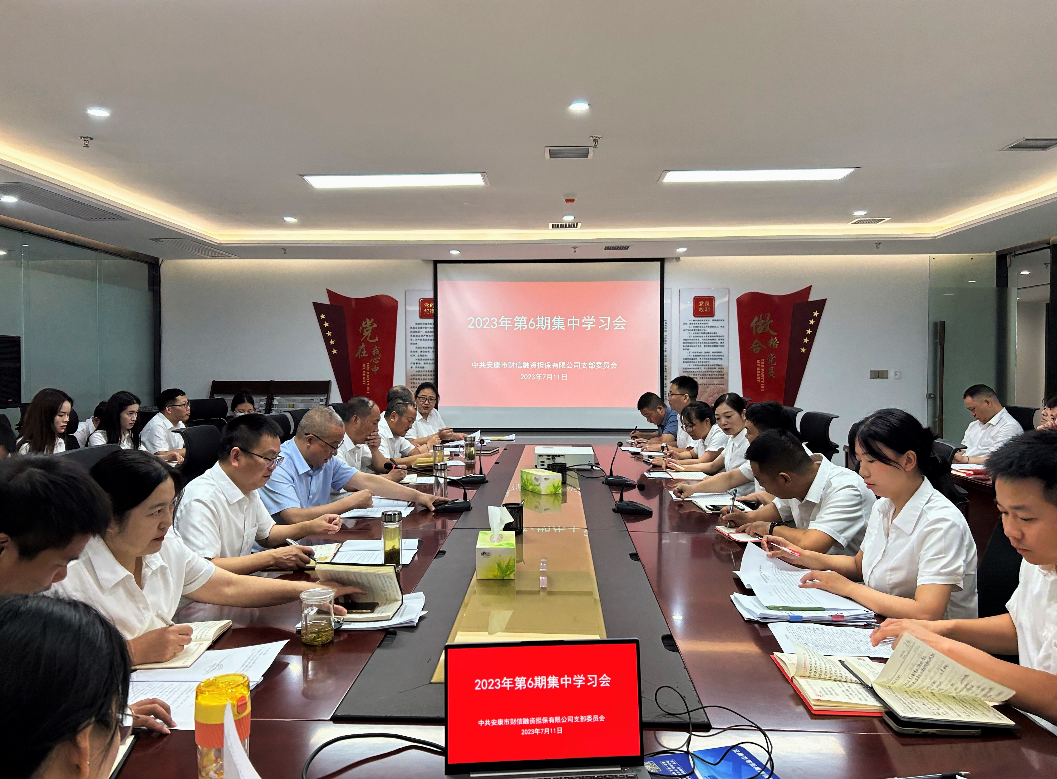 安康财信担保举行2023年第6期集中学习会