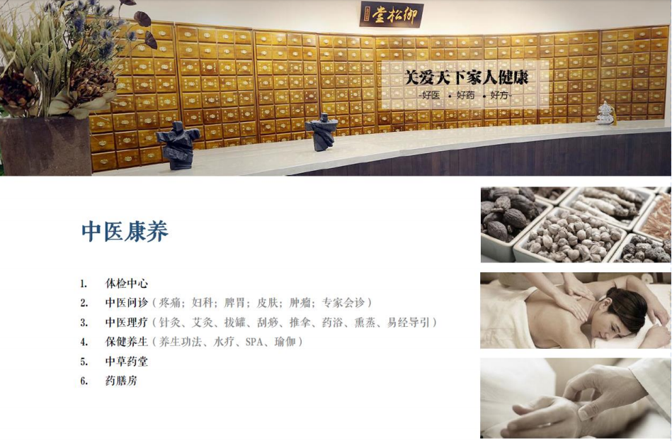 7中医诊疗中心项目建设概念图